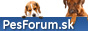 http://www.pesforum.sk